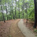 자세러닝 이미지