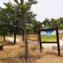 구지1호 공원 파크골프장 이미지