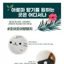 홈조아 이미지