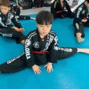 용인대블랙벨트센터 이미지