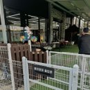 한림성심대학교부속 한림유치원 | 춘천 넓고 쾌적한 애견카페 헤이댕댕 관리잘된 실내 실외 내돈내산 방문후기