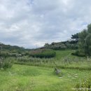 안산문화예술의전당 야외공연장 이미지