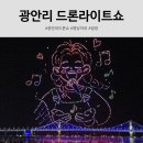 소망동물병원 | 광안리 드론쇼 명당 일정 총정리｜추천 코스·아이와 관람 후기