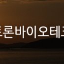 (주)인트론바이오테크놀로지 Daum카페