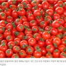 올스타축산 이미지
