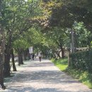 은하리펜션 이미지