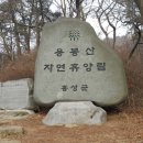 용봉산 주차장 이미지