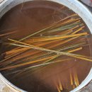 고분양태 이미지