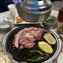 돼지나무사랑걸렸네 이미지