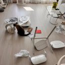 하이포레버 | [내돈내산] 싸이벡스 레모 하이체어 올화이트 개봉기 및 발가락 사수 팁