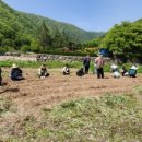 외궁초등학교 이미지