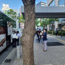 NK 투어 이미지