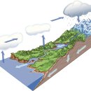 강화군산림조합 이미지