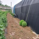 수도전기모터