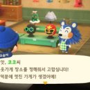 코코옷가게