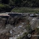 농림상회
