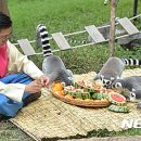 옹기종기 이미지