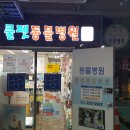 쿨펫동물병원 동구점 이미지