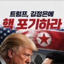 장성민 전 국회의원 "트럼프, 김정은에 핵 포기하라" ...이 정권의 "수상한 한미동맹: 이미지