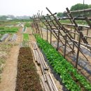 내리농장 이미지