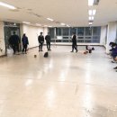 본주짓수동탄 Daum카페