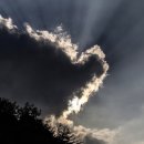 중대물빛공원 이미지