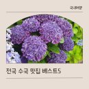 전국 수국 축제 베스트 5