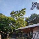 그늘막102 | 과천 서울대공원 캠핑장 이용후기 (서울대공원 주차요금 / 캠핑장 매점 정보)