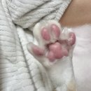 서울하내과의원 이미지