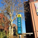 2023 12월 광주상설공연 | 대학로 혜화 연극 한뼘사이 순위 좋은 서울 연말 공연 추천