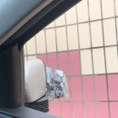 한신자동차공업사 이미지