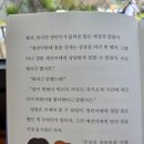 안경이야기 | 초등 추천도서 《 팥빙수 눈사람 펑펑 1 》 마음을 비춰주는 마법 안경 이야기 후기