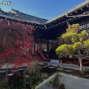 6094 | 경주동 경북 경주 초밥 추천