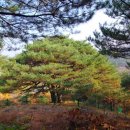 답곡리마을 네이버블로그