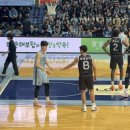 아레나스타필드고양