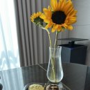 도톰 유부 이미지