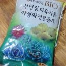 온가지팜