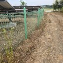 효심 태양광발전소 이미지