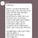 투페 | 디플레르 투페백 내돈내산 솔직 후기 / 교환 후기 (장점, 단점)