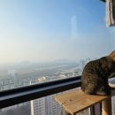 (특강)재미있는 일본어회화 이미지