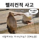 인생 맘처럼 되는게 한개두 업다