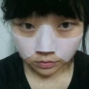 엘앤피바이오 | [줌마뚱이] 엘앤피 티피오 베스트 3종 사용후기