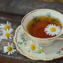 스마트플란트치과의원 | [진료소개] 스마트플란트치과의원에서 알아보는 천안 치과의 모든 것