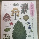 (주)알피스페이스