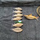 백달낚시터 이미지