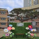 서신초등학교 이미지