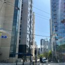 벚꽃로12길 이미지