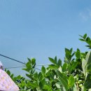 해오름농장 2 이미지