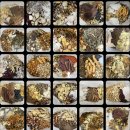 소담재한의원 이미지