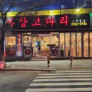 사상코다리